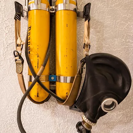 Yellow Compass W40 *